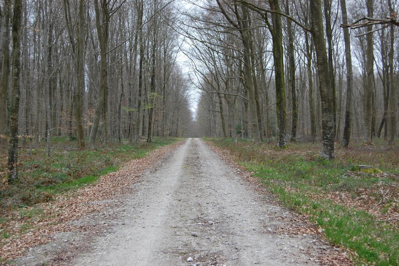 Le Petit Gite De La Varenne Saint-Hellier Esterno foto